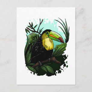 Toucan Postkarte
