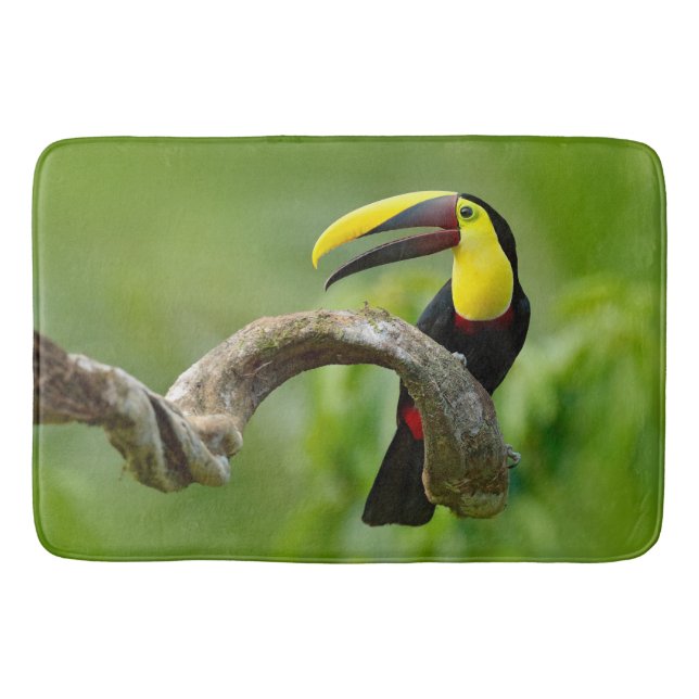 Toucan sitzt auf dem Ast im Wald Badematte (Vorderseite)