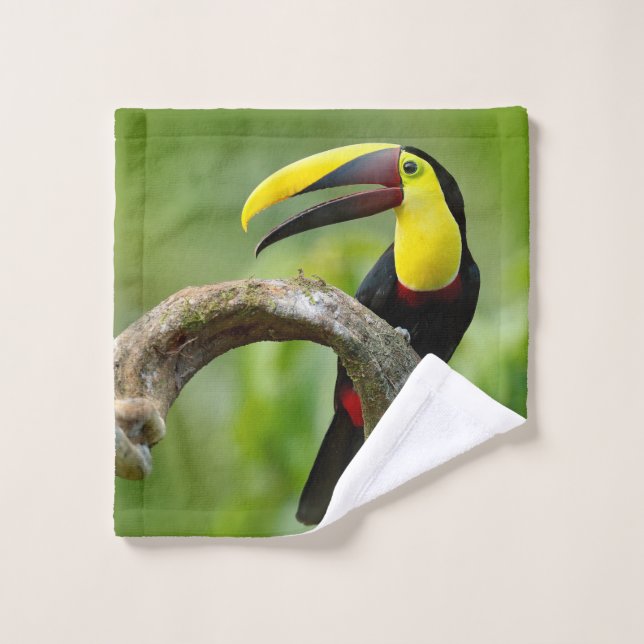 Toucan sitzt auf dem Ast im Wald Waschlappen (Waschlappen)