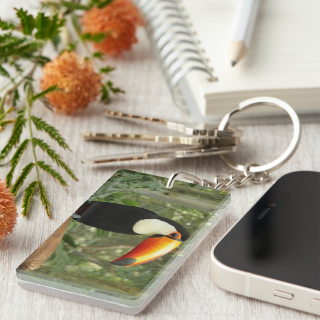 Toucan sur branche d'arbre (Devant droit)