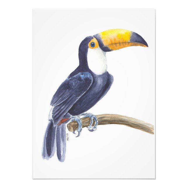 Toucan, tropischer Vogel Fotodruck (Vorne)