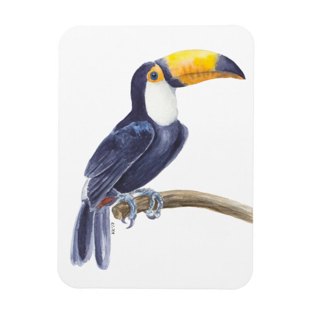 Toucan, tropischer Vogel Magnet (Vertikal)