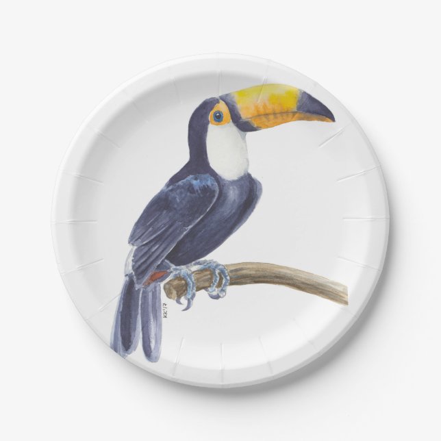Toucan, tropischer Vogel Pappteller (Vorderseite)
