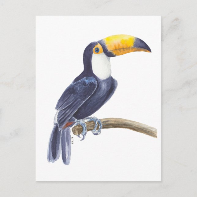 Toucan, tropischer Vogel Postkarte (Vorderseite)