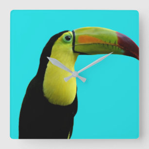 Toucan tropisches Foto Quadratische Wanduhr