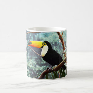 Toucan-Vogel Kaffeetasse