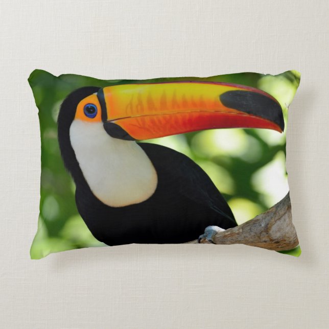 Toucan Zierkissen (Vorderseite)