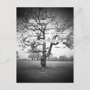 Touch ein Blatt... Postkarte