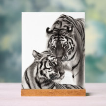Touch - Handgemalte Tigerarmaturen