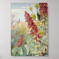 Touch Ich nicht Blume und Zuckerkulturen, Tulbagh
