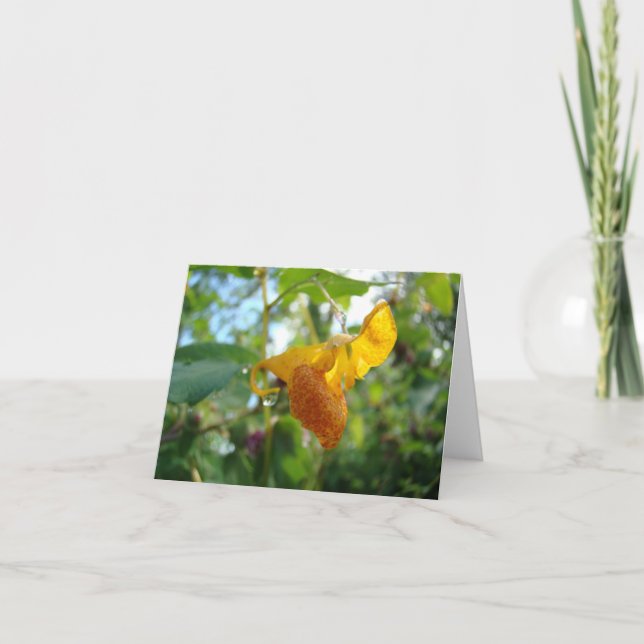 Touch-Me-Not-Orange-Wildblume Karte (Vorderseite)