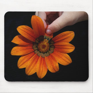 Touch Mousepad