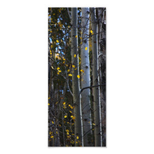 Touch von Gold Fotodruck