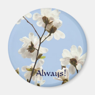 Toujours ! aimant Fleurs de Magnolia Blanche Print