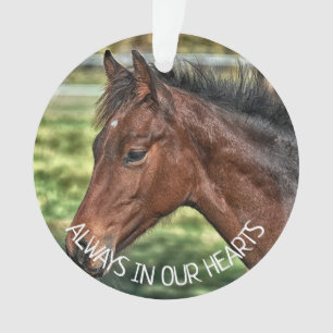 Toujours dans nos coeurs, souvenir du cheval