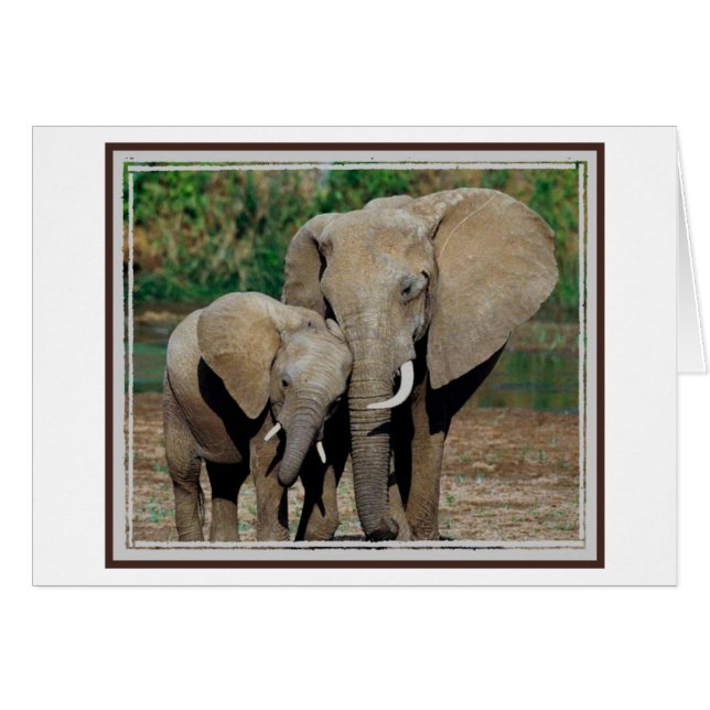 Toujours de ton côté (Devant horizontal)