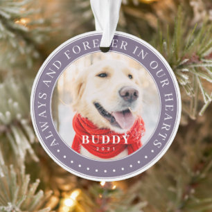 Toujours et toujours dans nos coeurs Memorial Pet