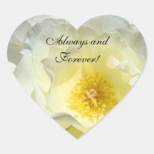 Toujours & Forever ! autocollants Rose blanche pas