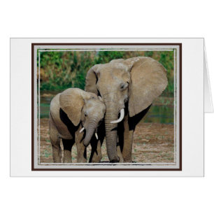 Toujours par votre côté