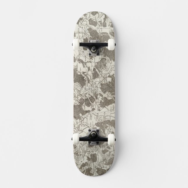 Toul Skateboard (Vorderseite)