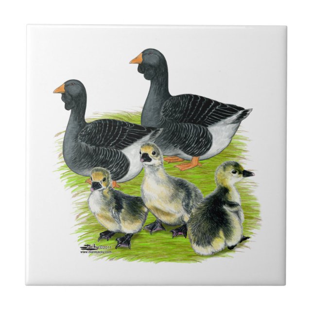 Toulouse-Gans-Familie Fliese (Vorderseite)