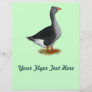 Toulouse Gans Tuff Flyer