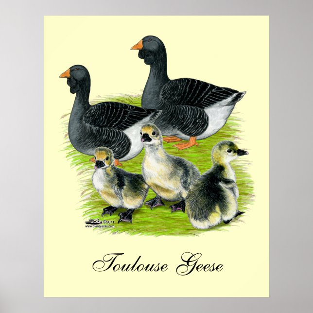 Toulouse Goose Family Poster (Vorne)