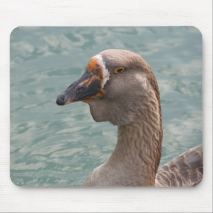 Toulouse Goose Mousepad