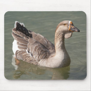 Toulouse Goose Mousepad
