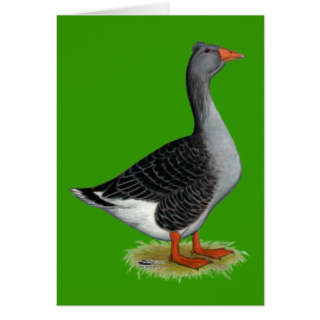Toulouse Goose Tufted (Devant)