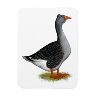 Toulouse Gose Tufted Magnet