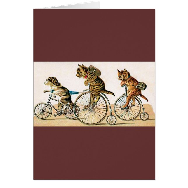 Tour de bicyclette (Devant)