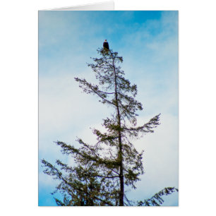 Tour de surveillance