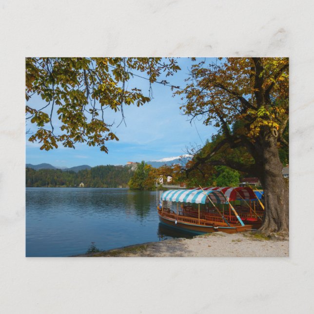 Touristenboote im Bled-See im Herbst Postkarte (Vorderseite)