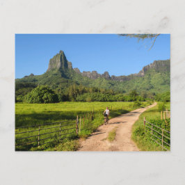 Touristenradfahren auf der Postkarte von Moorea
