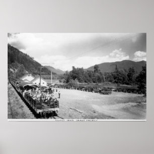 Touristischer Zug des Skagit Projektes Poster