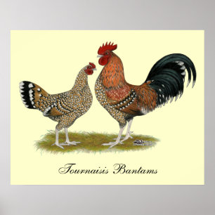 Tournaisis Bantams Poster
