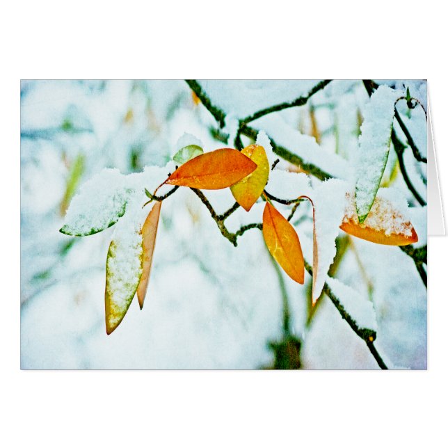 Tourner la page (Devant horizontal)