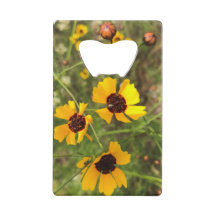 Tournesol