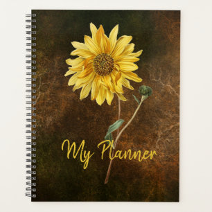Tournesol