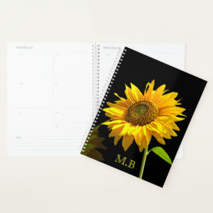 Tournesol brillant sur Arrière - plan noir