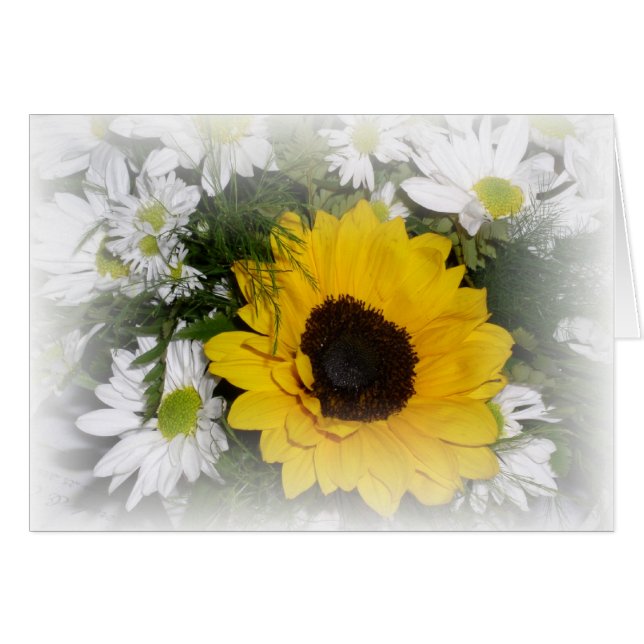 tournesol et marguerites (Devant horizontal)