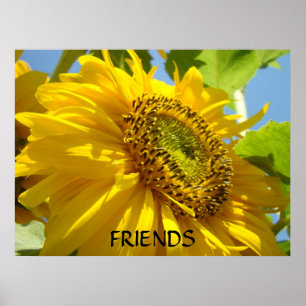 Tournesol Impressions d'art de fleurs encadrées