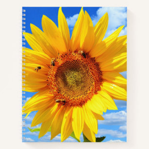 Tournesol jaune et abeilles sur le Carnet Blue Sky