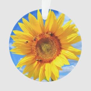 Tournesol jaune et abeilles sur le ciel bleu - Jou