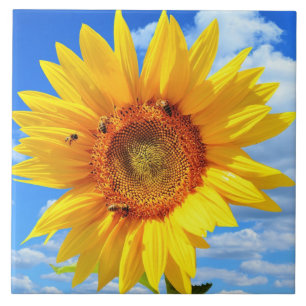 Tournesol jaune et carreaux en céramique abeille