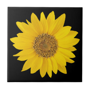 Tournesol jaune simple sur Carreaux en céramique