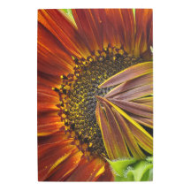 Tournesol Mur Métal
