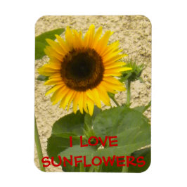 Tournesol N Magnet de réfrigérateur Stucco