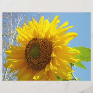 Tournesol Papier à écaille Jaune Floral été